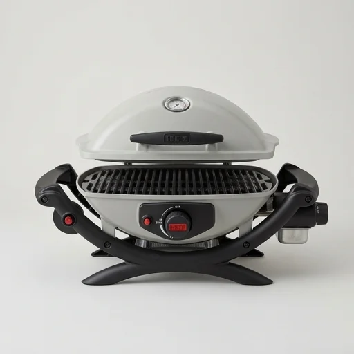 Weber Q1200 Portable Gas Grill